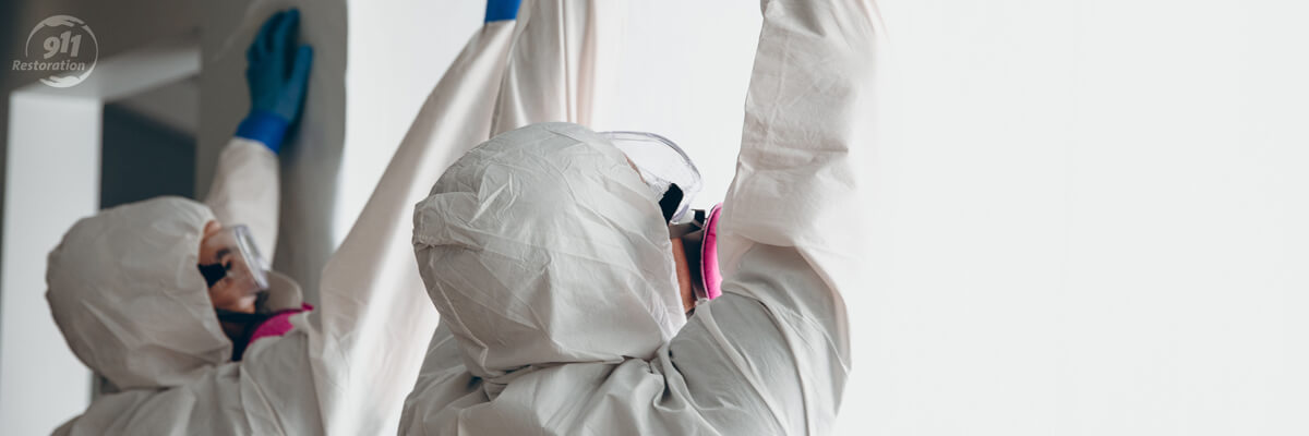 Mold Removal in Birmingham