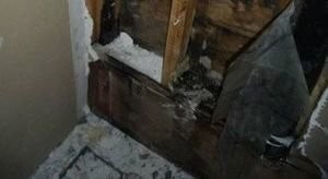 Mold Growth In Home After Flooding Incident