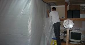 Technician Conducting Mold Cleanup